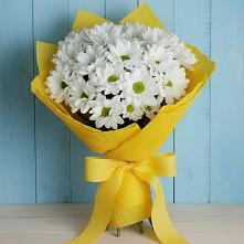 Букет цветов из:  Хризантемы в Курманаевка