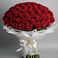 Букет 101 Красная роза Блэк Мэджик в Курманаевка