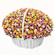 Премиум букет из: Розы в Курманаевка