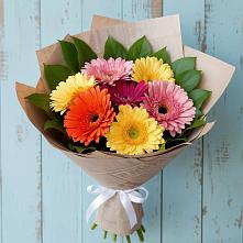 Букет цветов из:  Герберы #REPLACE_PRED# Курманаевка