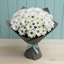 Букет цветов из:  Хризантемы в Курманаевка