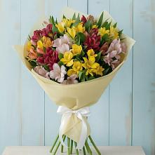Букет цветов из:  Альстромерии в Курманаевка