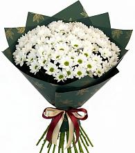 Букет цветов из:  Хризантемы в Курманаевка