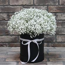 Цветочная композиция из Гипсофила в шляпной коробке #REPLACE_PRED# Курманаевка