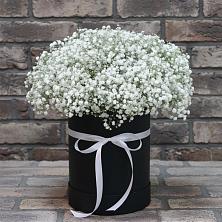 Цветочная композиция из Гипсофила в шляпной коробке в Курманаевка