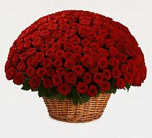 Премиум букет из: Розы в Курманаевка